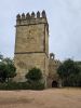PICTURES/Cordoba - The Alcazar/t_20231031_095704.jpg
